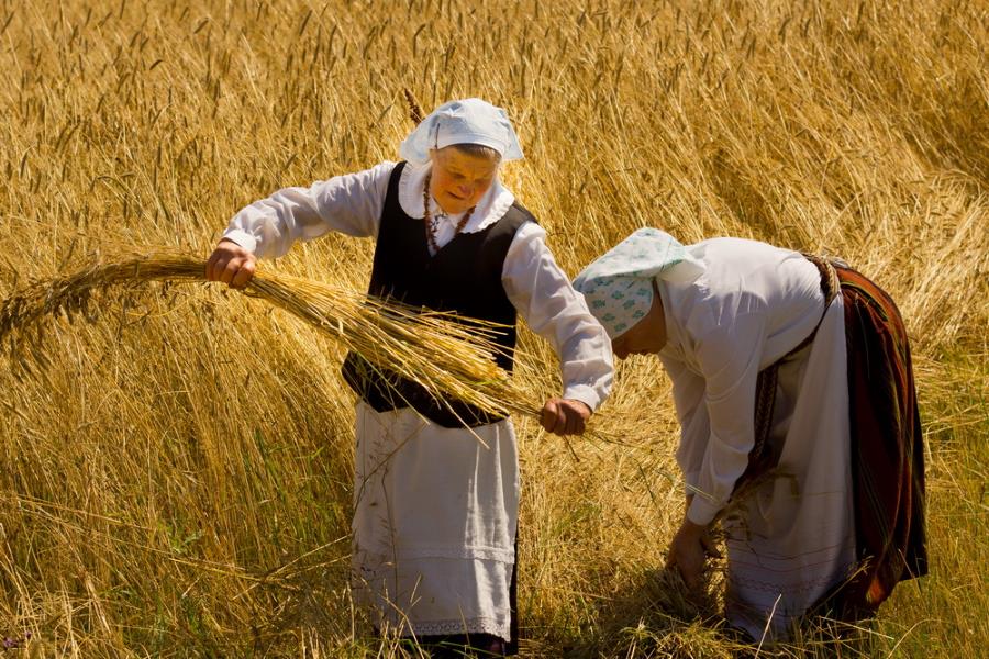 Javaplūtė Oninės Nuotraukos - Rimgaudo Žaltausko